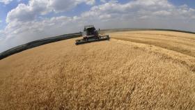 Россия планирует войти в топ-10 экспортеров сельхозпродукции